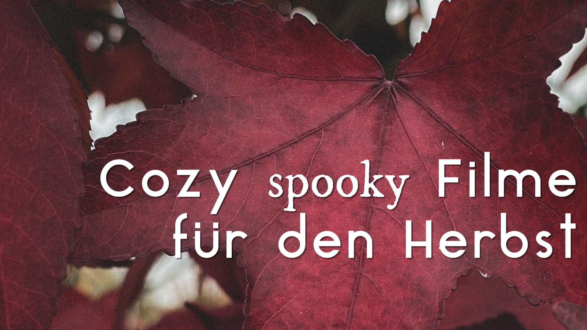 Cozy spooky Filme für den Herbst